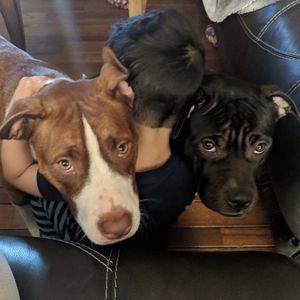 Meet your Posher, Erica